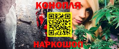 спиды Гусев